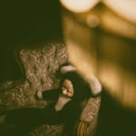 fotograf-03-house-of-escape-escaperoom-muehlhausen-thueringen